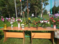 IMG_20200829_101432