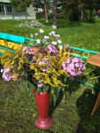 IMG_20200829_101441