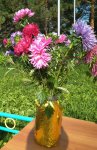 IMG_20200829_101449