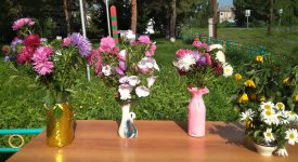 IMG_20200829_101458