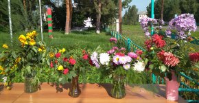 IMG_20200829_101507