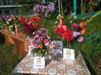 IMG_20200829_101534