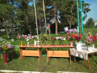 IMG_20200829_101551 (2)